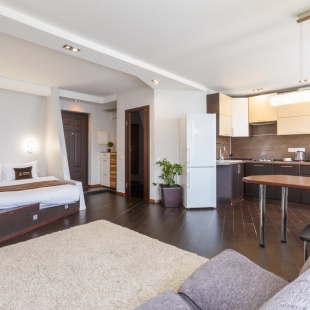 Фотография квартиры Апартаменты InnDays на Новых Черемушках (Студия)