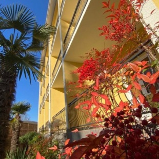 Фотография квартиры Апартаменты Дагомыс (Рио)