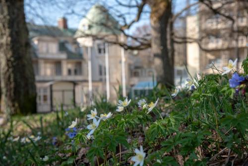 Фотография гостиницы Kurorten Mösseberg