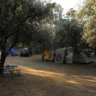 Фотографии кемпинга 
            Camping Terreno-Ro-Bi-Li