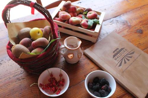 Фотография базы отдыха Agriturismo Maloura