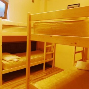 Фотография хостела Хохлома VDK