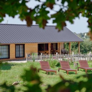 Фотография гостевого дома Дом на Тригорской