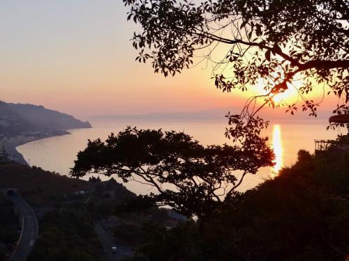 Фотографии мини отеля
La cage aux folles B&B