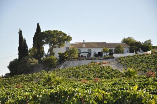 Фотография гостевого дома Viña Santa Petronila