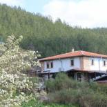 Фотография гостевого дома "Old Stead" House