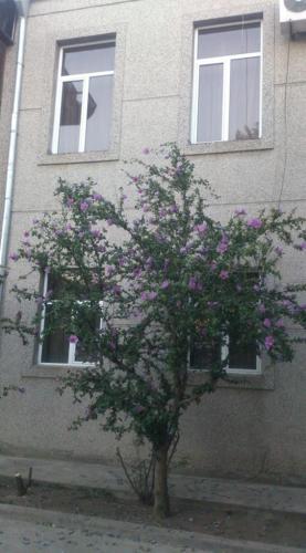 Фотография гостиницы Урарту