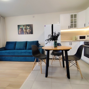 Фотография квартиры Апартаменты рядом технопарк \термы \квань \калужники\биосфера