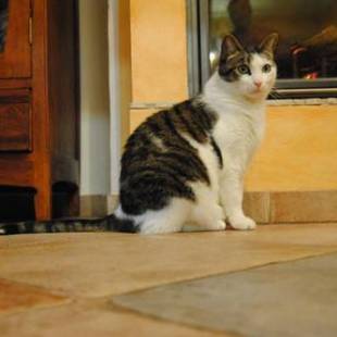 Фотографии мини отеля
B&B la casa di Arturo