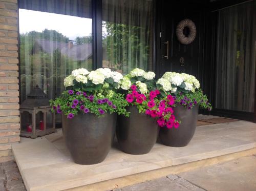 Фотография мини отеля Haus Drossel