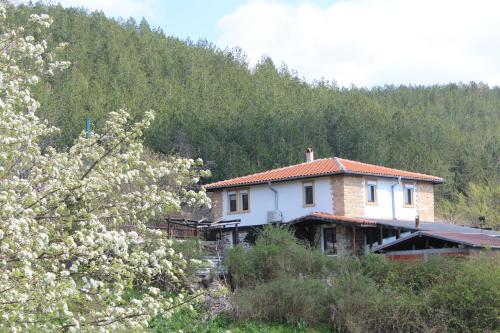 Фотография гостевого дома "Old Stead" House