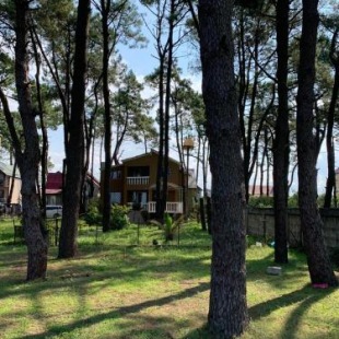 Фотография гостевого дома Григолети Дом для отпуска на пляже