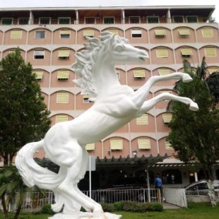 Фотография апарт отеля Flat Cavalinho Branco