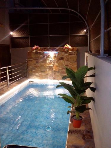 Фотография гостевого дома Al Hamra Guest House