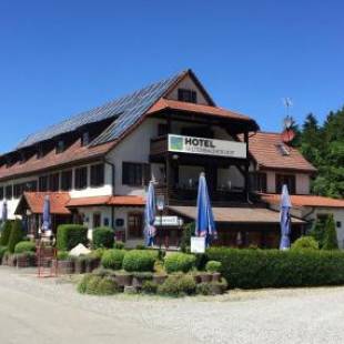 Фотографии гостиницы
Hotel Seltenbacher Hof