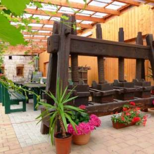 Фотографии гостевого дома
Pension Unstrutpromenade