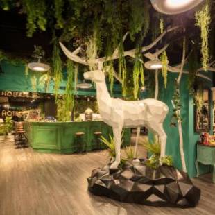 Фотографии гостиницы
Finders Hotel