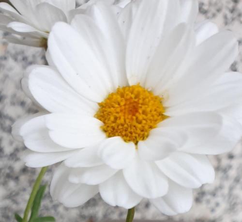 Фотография кемпинга kleine Gemütlichkeit