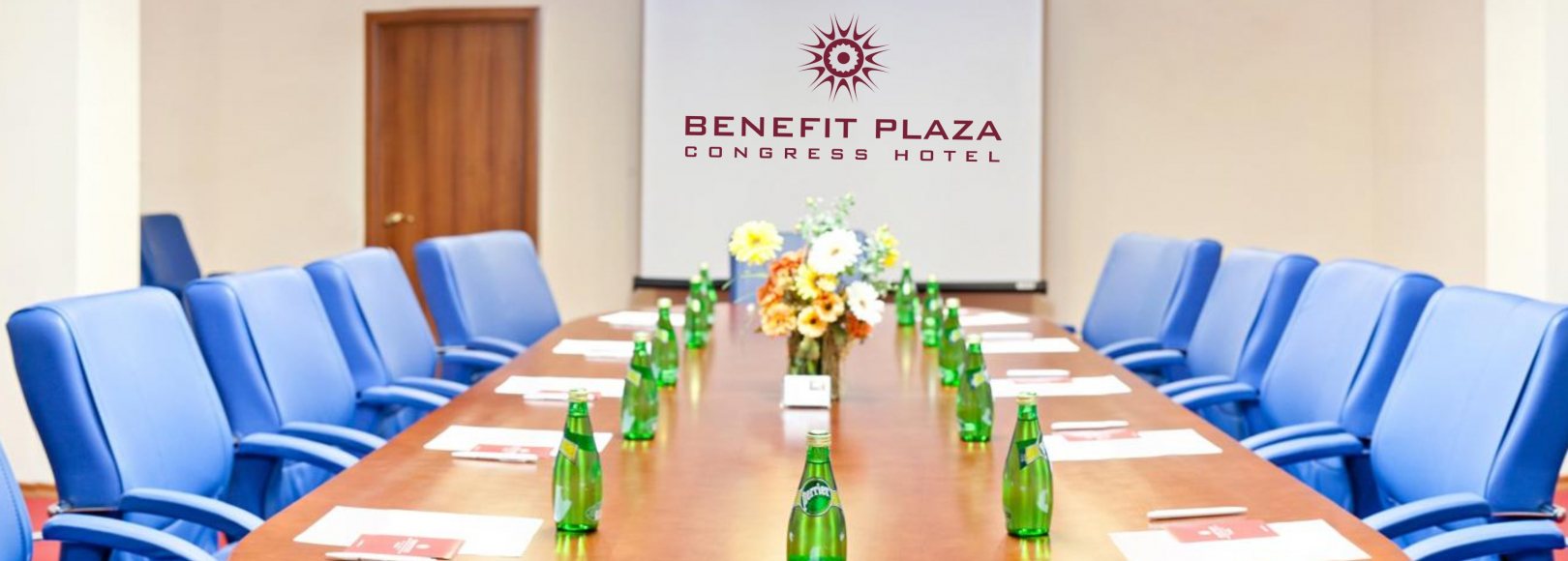 Фотография конференц-зала VIP