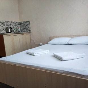 Фотография квартиры Апартаменты ДОМИНО рядом с ТЦ Взлетка Плаза 1