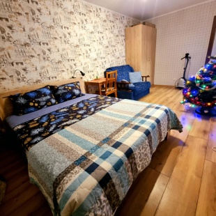 Фотография квартиры Апартаменты Кольцово Спутников