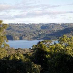 Фотографии мини отеля
Montville Misty View Cottages