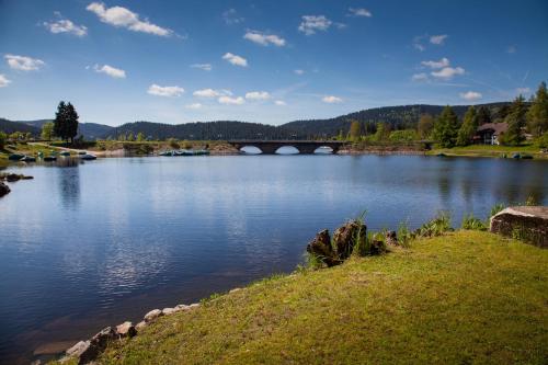 Фотографии гостиницы 
            Hotel Pension am See