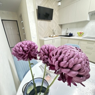 Фотография квартиры Квартира Уютная в центре города