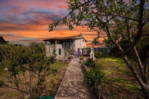 Фотография мини отеля B&B Gàttina