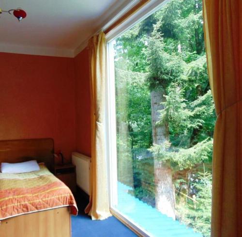 Фотография гостиницы NUNISI Forest Hotel