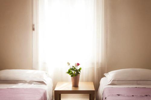 Фотография гостиницы Hotel Santo Stefano