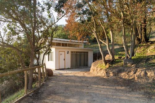 Фотография гостевого дома Parcela Paso del León (Cabañas)