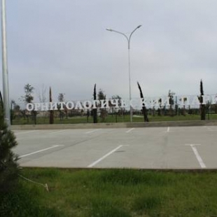 Фотография гостиницы Алые Паруса