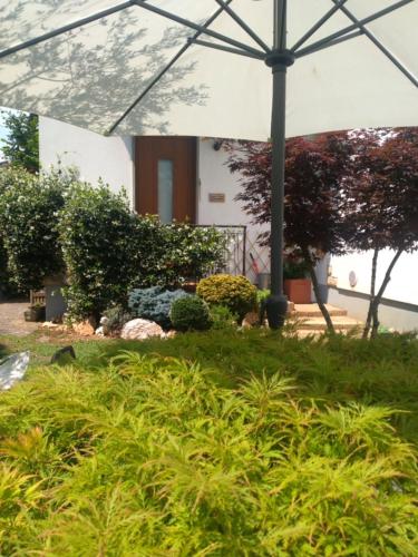 Фотография мини отеля Le Betulle