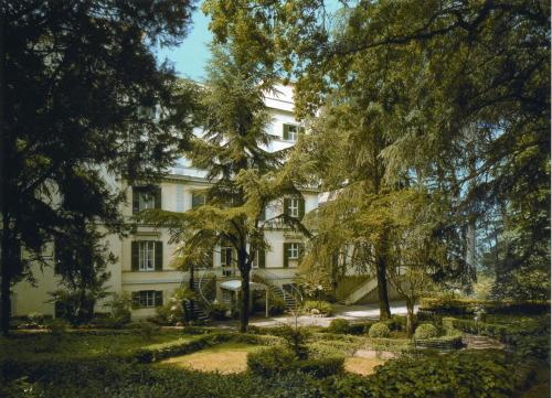 Фотография гостиницы Hotel Villa Aricia