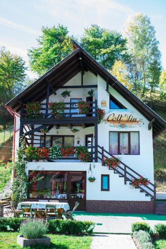 Фотографии гостевого дома
Colț Viu Chalet