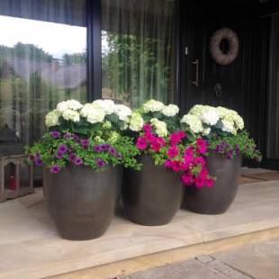 Фотографии мини отеля
Haus Drossel