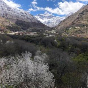 Фотографии мини отеля
Riad Atlas 4 Seasons