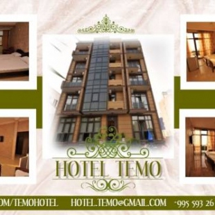 Фотография гостиницы Hotel Temo in Batumi