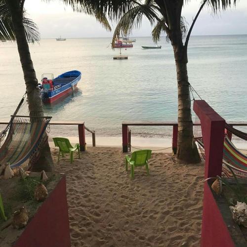 Фотография мини отеля Las Palmeras Oceanfront Hotel and Dive Center