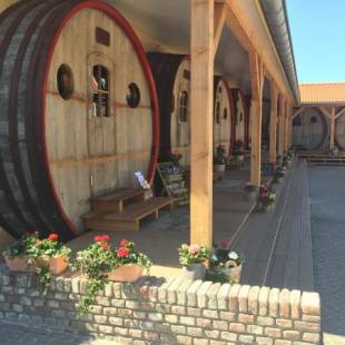 Фотографии гостиницы
Hotel De Vrouwe van Stavoren