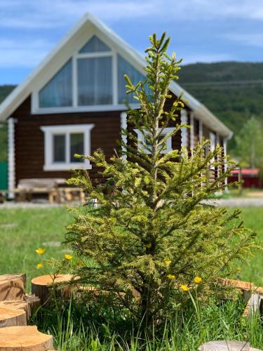 Фотографии Коттеджа 
            Lякабанья Хамышки