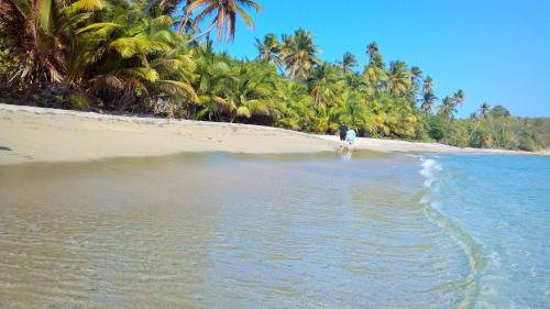 Фотография гостиницы Blue Horizon Boutique Resort