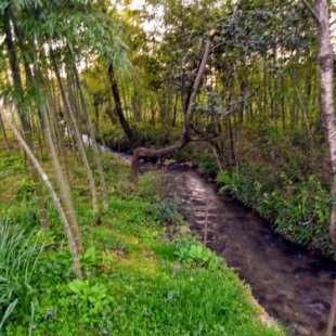 Фотография гостевого дома Paradise in Paradise