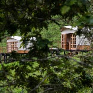 Фотографии мини отеля 
            Birdglamping Aviturismo Los Arboles Hotel