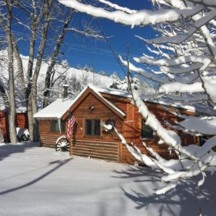 Фотография гостевого дома Shamrock Cabin