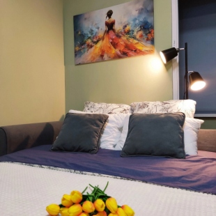 Фотография квартиры Апартаменты на Улице Сухановская 20