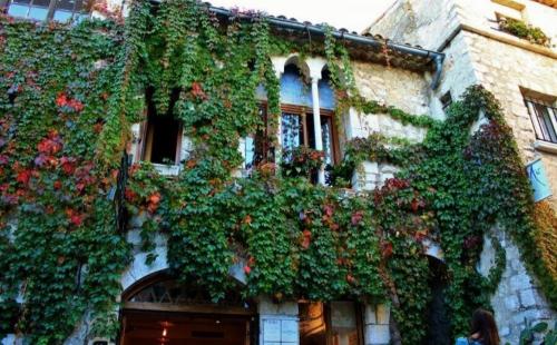 Фотография хостела North Star