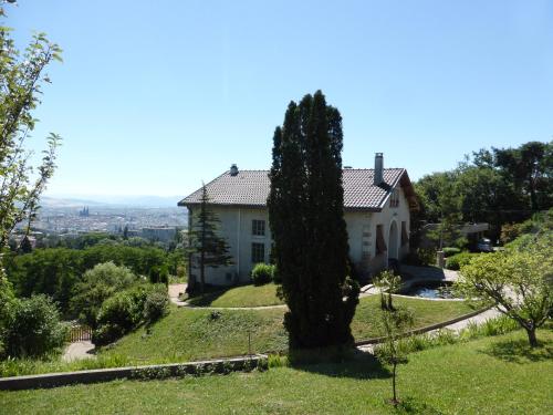 Фотография мини отеля Chambres d'hôtes Villa Volcano