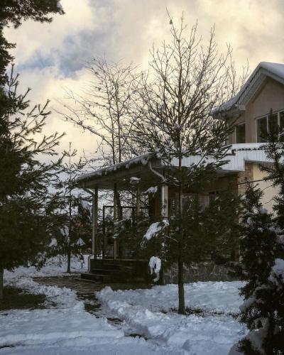 Фотографии гостевого дома
Хвоя